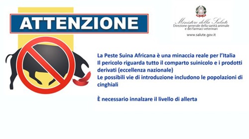 Allerta Peste Suina Africana