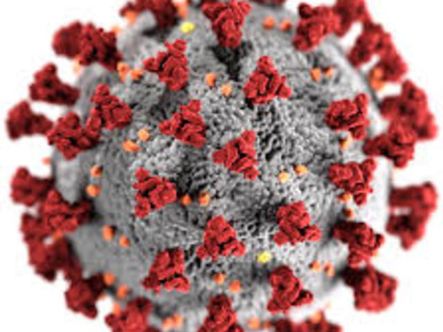 Coronavirus in Piemonte: bollettino contagi del 31 marzo, ore 19:00