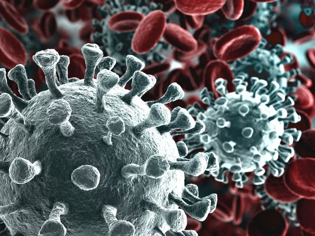 Coronavirus in Piemonte: bollettino contagi | 31 gennaio 2022