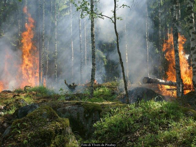 Incendi boschivi: dal 16 gennaio lo stato di massima pericolosità