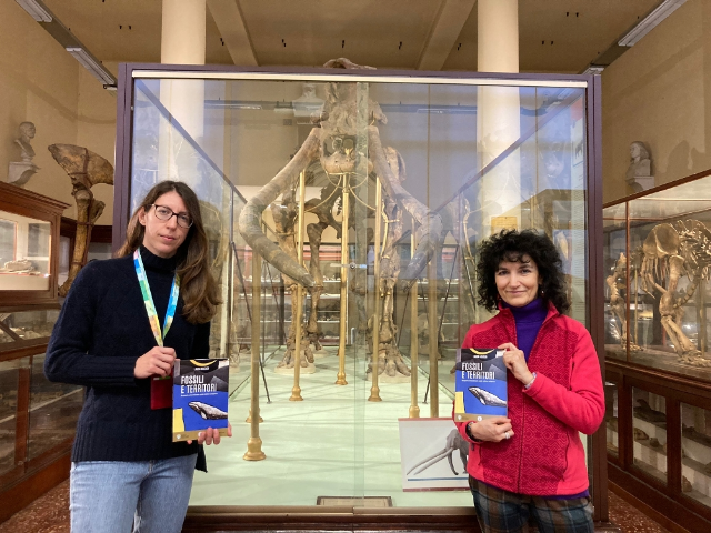 "Fossili e Territori" a Bologna nel museo dei mastodonti astigiani