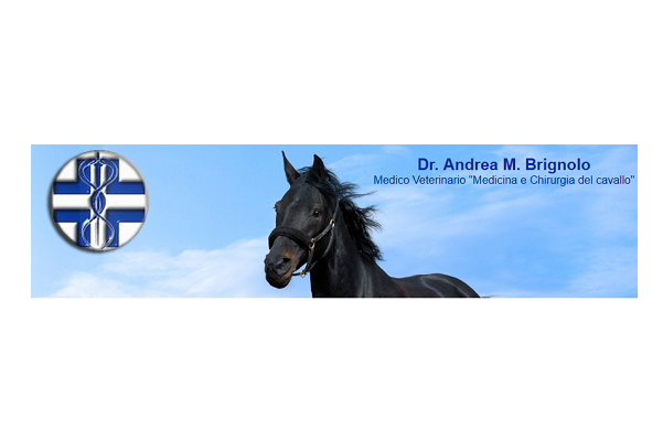 Ambulatorio veterinario Dr. Andrea M. Brignolo