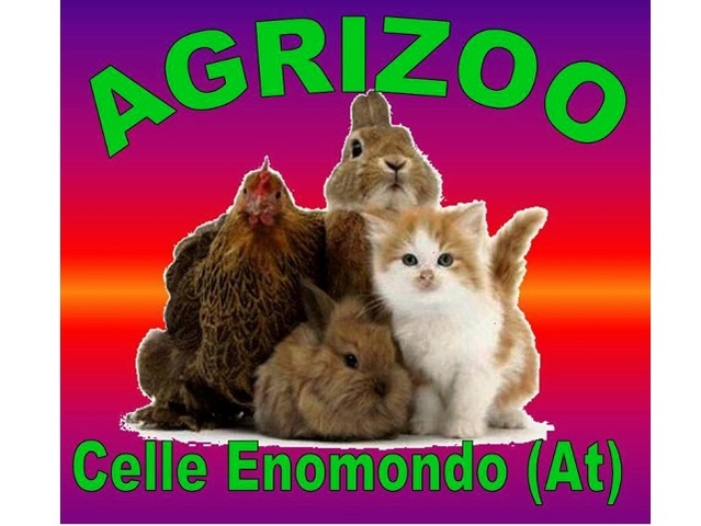 Agrizoo - Celle Enomondo