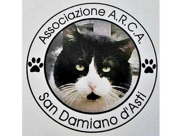 Arca - San Damiano d'Asti