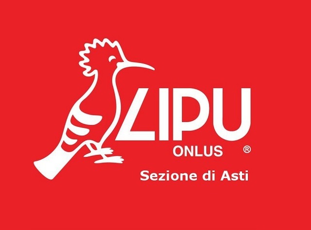 Asti Ornithological Observatory - Wildlife Recovery Center - Lipu Asti