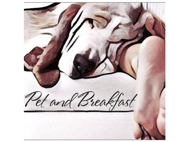 Pet and Breakfast