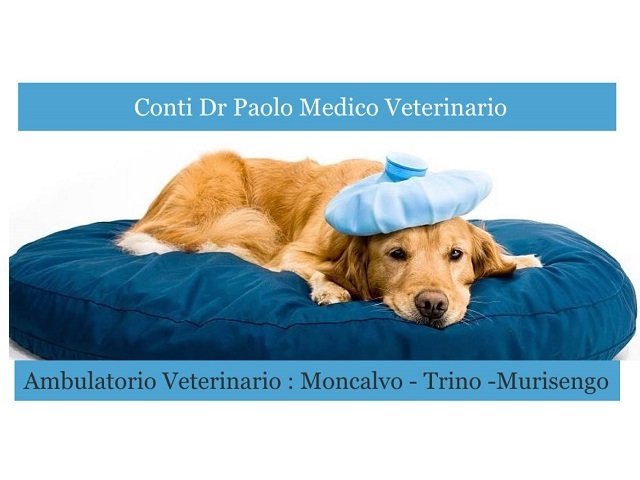 Ambulatorio Veterinario Dr. Conti