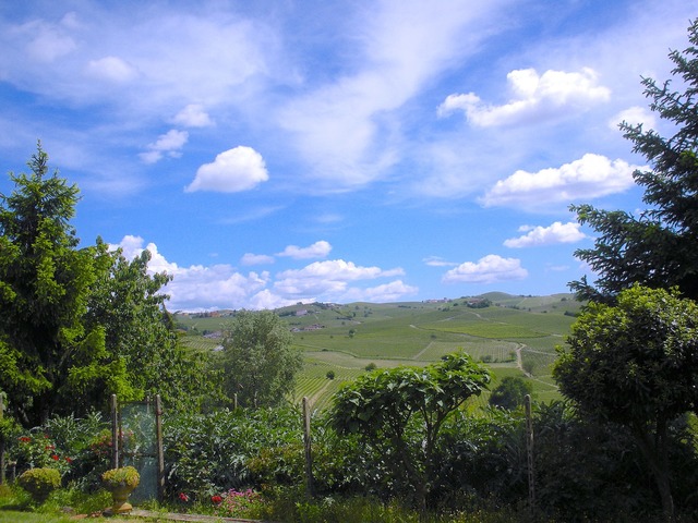 Cascina tra i vigneti