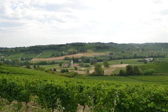 Agriturismo_Monsignorotti_2