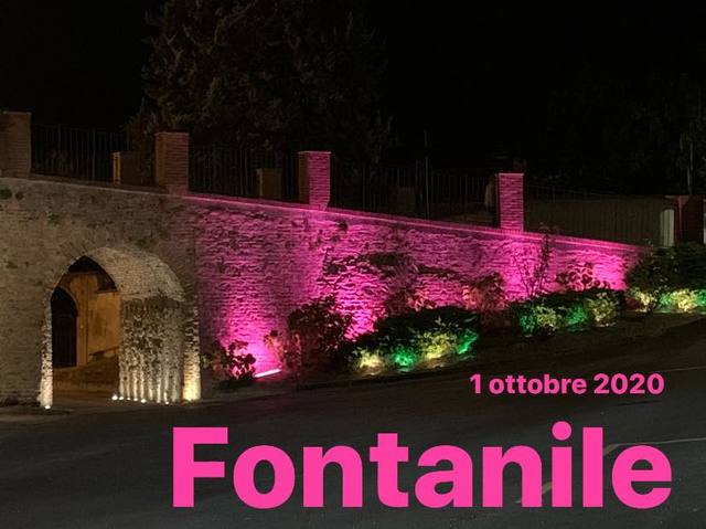 Antico ponte levatoio | Fontanile