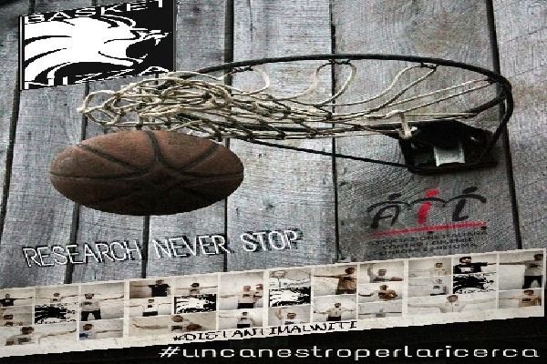 Basket Nizza per l'AIL: aperta la campagna di raccolta fondi online