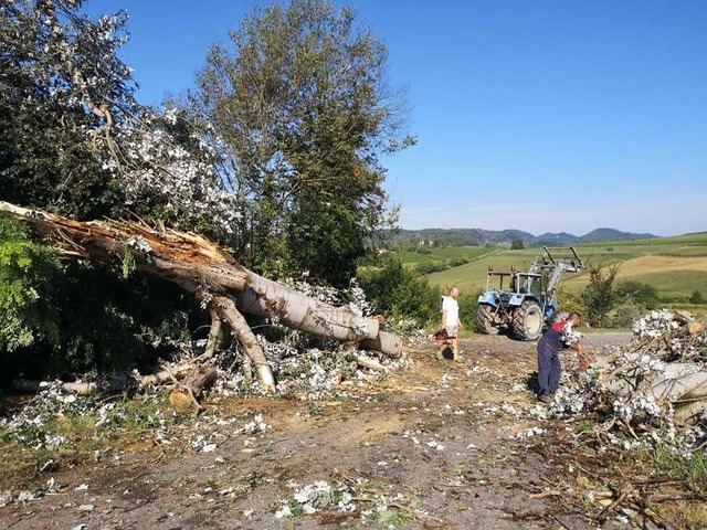 Maltempo di inizio agosto: la Regione Piemonte chiede lo stato di emergenza