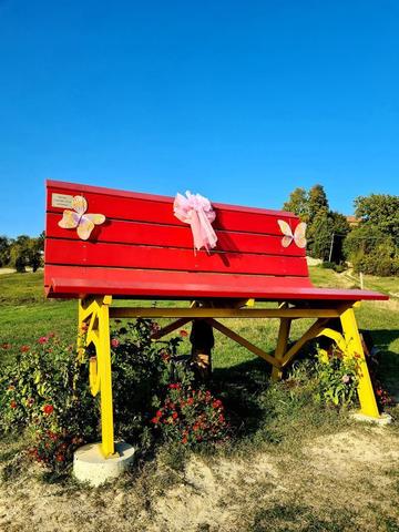Un nastro rosa sulla panchina gigante di Aramengo per la lotta al tumore al seno