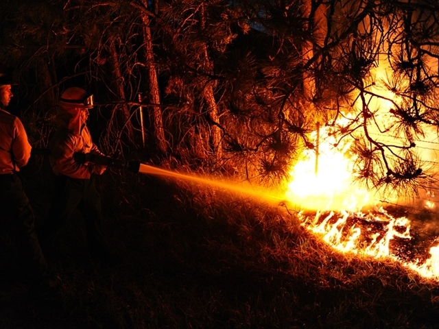Piemonte, foreste: approvato piano straordinario per il ripristino dopo gli incendi del 2017